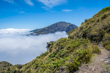 Obraz premium An overlooking view of nature in Maui, Hawaii