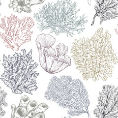 Vector seamless pattern with hand drawn ocean plants and coral reef elements in sketch style. © natality