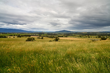 Fototapeta premium Landscape