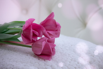A bouquet of pink tulips for the holiday bandaged with a pink ribbon.