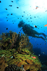 Fototapeta na wymiar Tropical coral reef and scuba diver