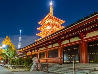 Naklejka premium Japan. Tokyo. Asakusa Temple. Tokyo Sky Tree at night. Spire of the Asakus Pagoda glows. Highlighting a Buddhist temple at night. Sights of Tokyo. Monument to the lion at the entrance to Sensoji.