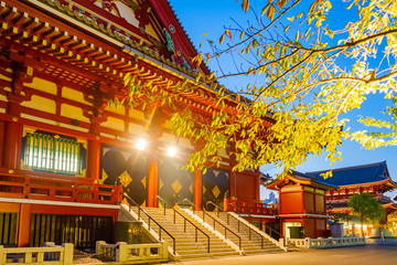 Fototapeta na wymiar Japan. Tokyo. Asakusa Temple. Sprig of tree on the background of Sensoji Temple. Early in the morning in Japan. Autumn morning in Tokyo. Shinto shrine in Tokyo. Temple is decorated with a swastika