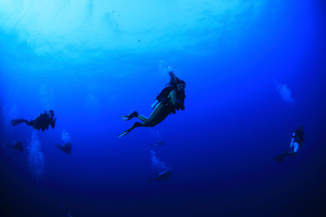 Group of scuba divers