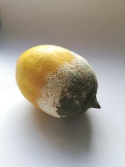 Lemon and mold on white background
