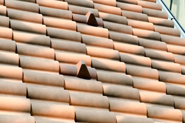 detail of the roof with snow-stop tiles