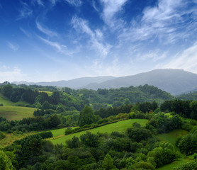 Obraz premium grassy field and hills