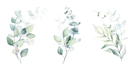 Fototapeta na wymiar Watercolor floral illustration set - green leaf branches collection, for wedding stationary, greetings, wallpapers, fashion, background. Eucalyptus, olive, green leaves, etc.