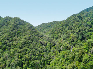 Fototapeta na wymiar overgrown mountains at Langkawi
