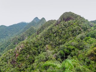 overgrown mountains at Langkawi