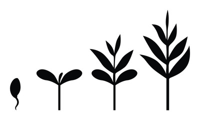 Vector illustrations of Sprouts plants icon set
