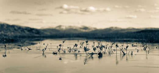 Calm mountain lake