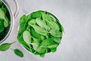 Fresh Spinach Leaves. Raw Spinach in a bowl for vegetarian or vegan salad or smoothie.