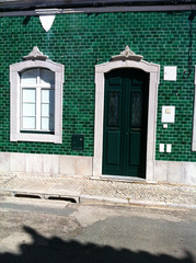green old wooden door in green wall