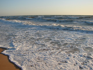 Panorama of the coast of the Azov Sea covered with white foam morning waves at dawn.