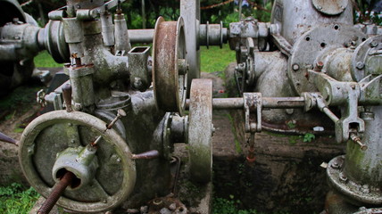A statue of a tea leaf processing machine monument in a park on a mountain