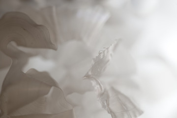 white background wedding