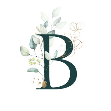 Flower Letter B Images – Browse 18,499 Stock Photos, Vectors, and 
