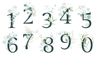 Fototapeta Dark Green Floral Number Set - digits 1, 2, 3, 4, 5, 6, 7, 8, 9, 0 with green leaves, botanic branch bouquet composition. Unique collection for wedding invites decoration & other concept ideas. obraz