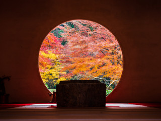 鎌倉　明月院　悟りの窓