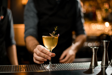 Two bartenders and an alcohol cocktail with branch