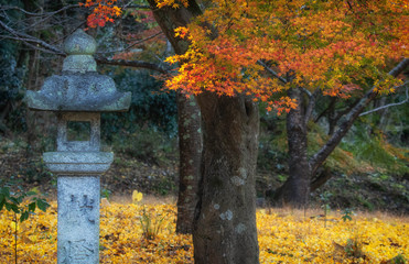 神社の石灯籠と紅葉の風景