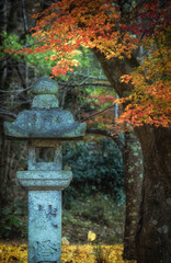 神社の石灯籠と紅葉の風景