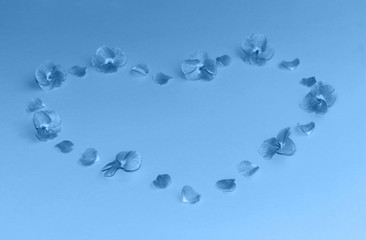 Composition of flowers and petals in a shape of heart on trendy blue background. Mockup for your design. Color of the year 2020 concept. Copy space.