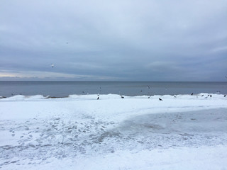 neige glace au bord de la mer