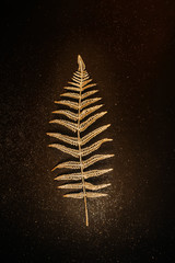 Shiny golden fern branch on a black background with glitters. Christmas decoration. Minimalism poster flat lay