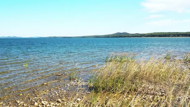 Shore of beautiful ornithological nature park and Vrana lake (Vransko jezero) in Dalmatia, Croatia, grass on wind 