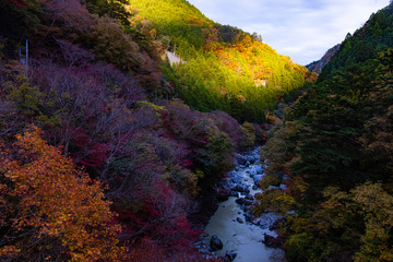 Autumn in Japan