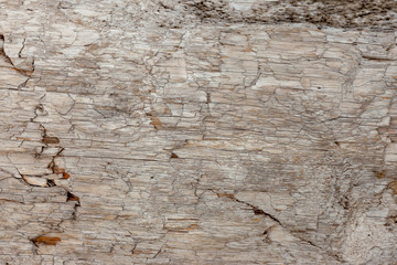 Ground, Wall surface texture for decoration background