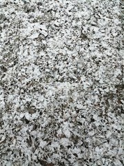texture of stone