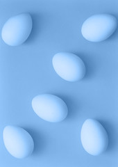 White eggs on trendy color background.