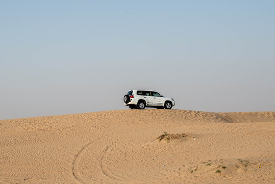 safari in the desert