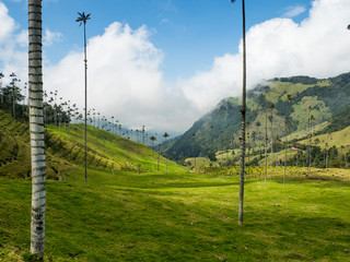 Cocora valley landscape in Colombia © Ángeles Aldariz