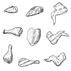 Hand-drawn isolated chicken meat.  Vector cartoon illustrations. 