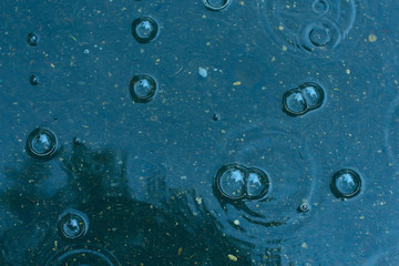 blue background puddle of rain / raindrops, circles on a puddle, bubbles in the water, the weather is autumn