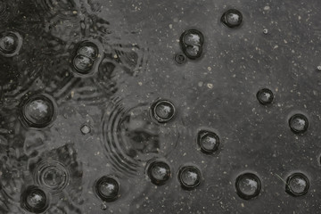 background puddle rain / circles and drops in a puddle, texture with bubbles in the water, autumn rain
