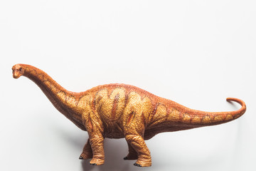 Brachiosaurus Dinosaur toy isolate on white background