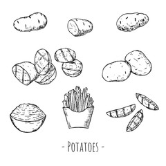 Hand-drawn set of potatoes. Raw, grilled, mashed potatoes and french fries. - obrazy, fototapety, plakaty