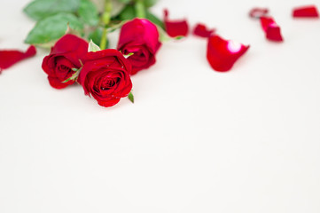 Fototapeta na wymiar Happy Valentine's Day background. beautiful red rose background