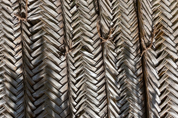 Wood, Ground, Wall surface texture for decoration background