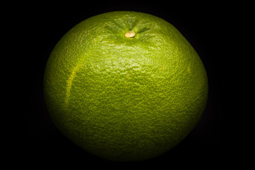 grapefruit on white background