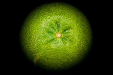 green apple with drops of water on black background