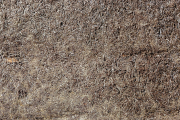 Wood surface texture for decoration background