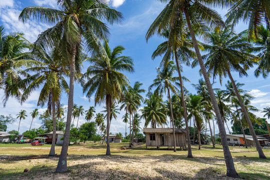 4,419 BEST Kampung IMAGES, STOCK PHOTOS u0026 VECTORS  Adobe Stock