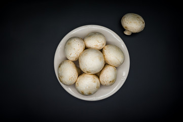mushrooms on a black background