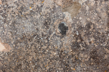Ground, Wall surface texture for decoration background